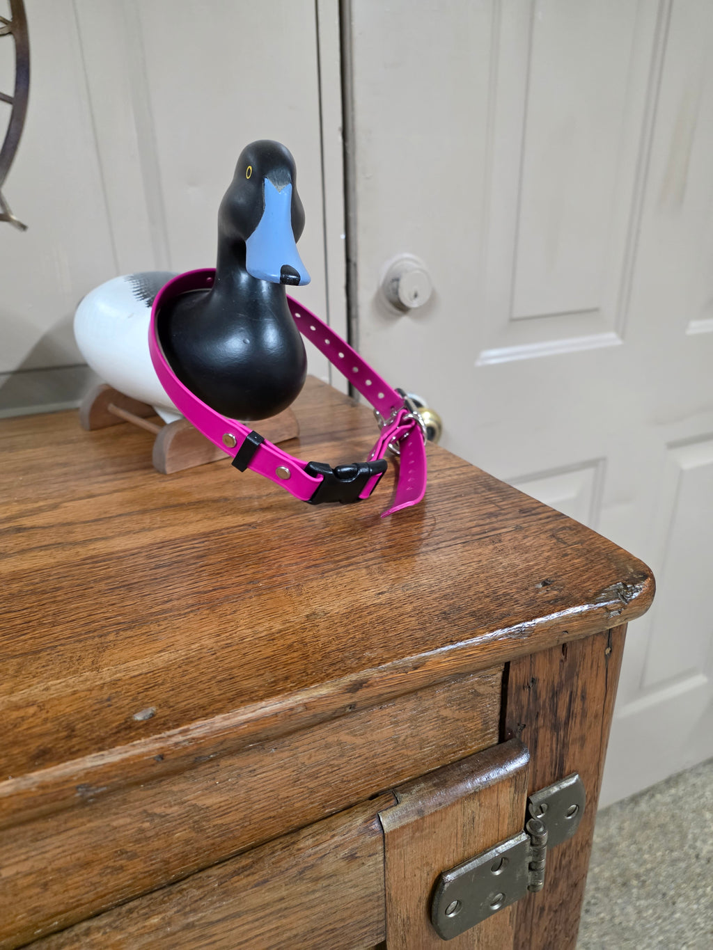 Gold Flex Biothane E-Collar Strap