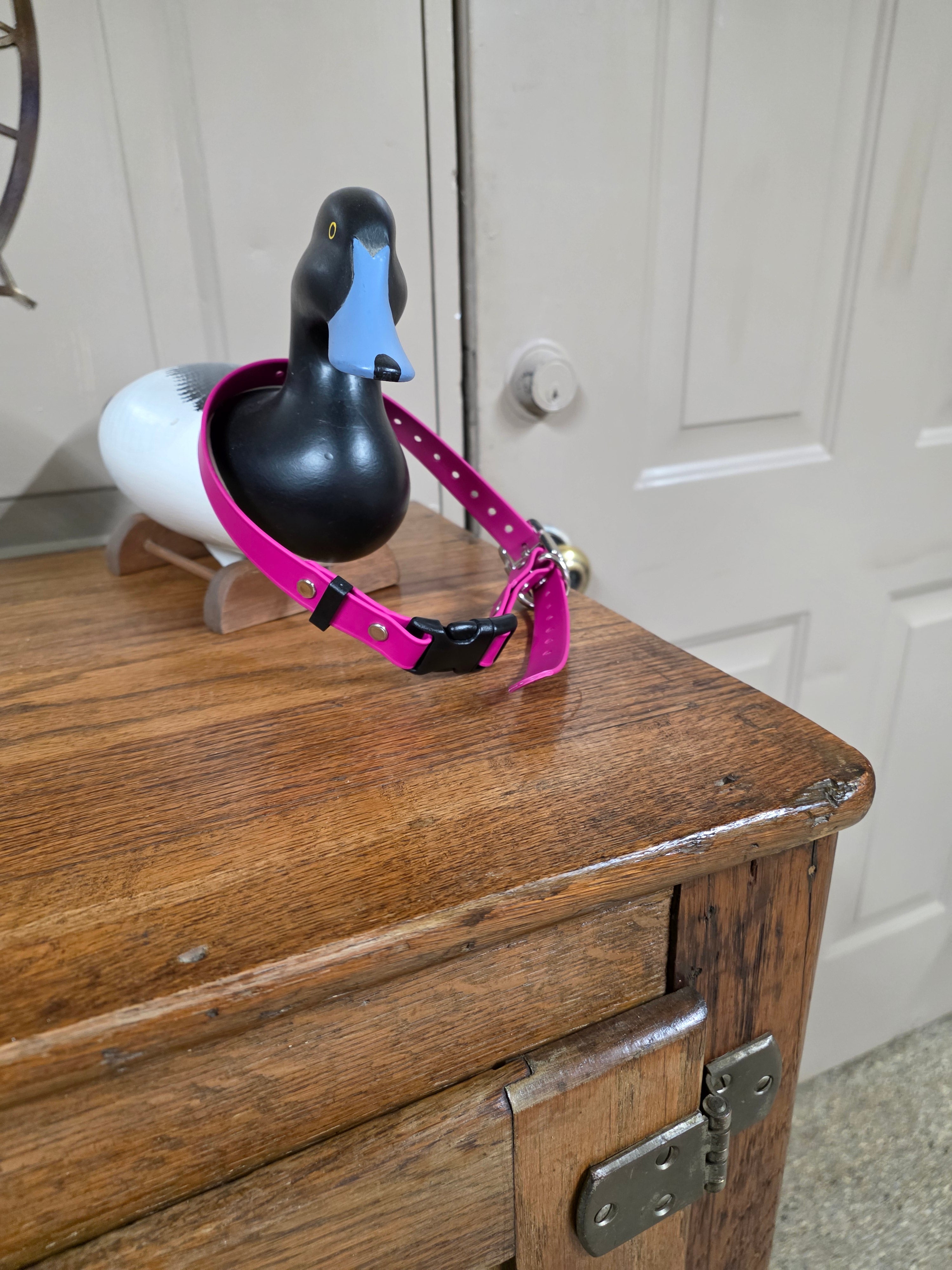 Gold Flex Biothane E-Collar Strap