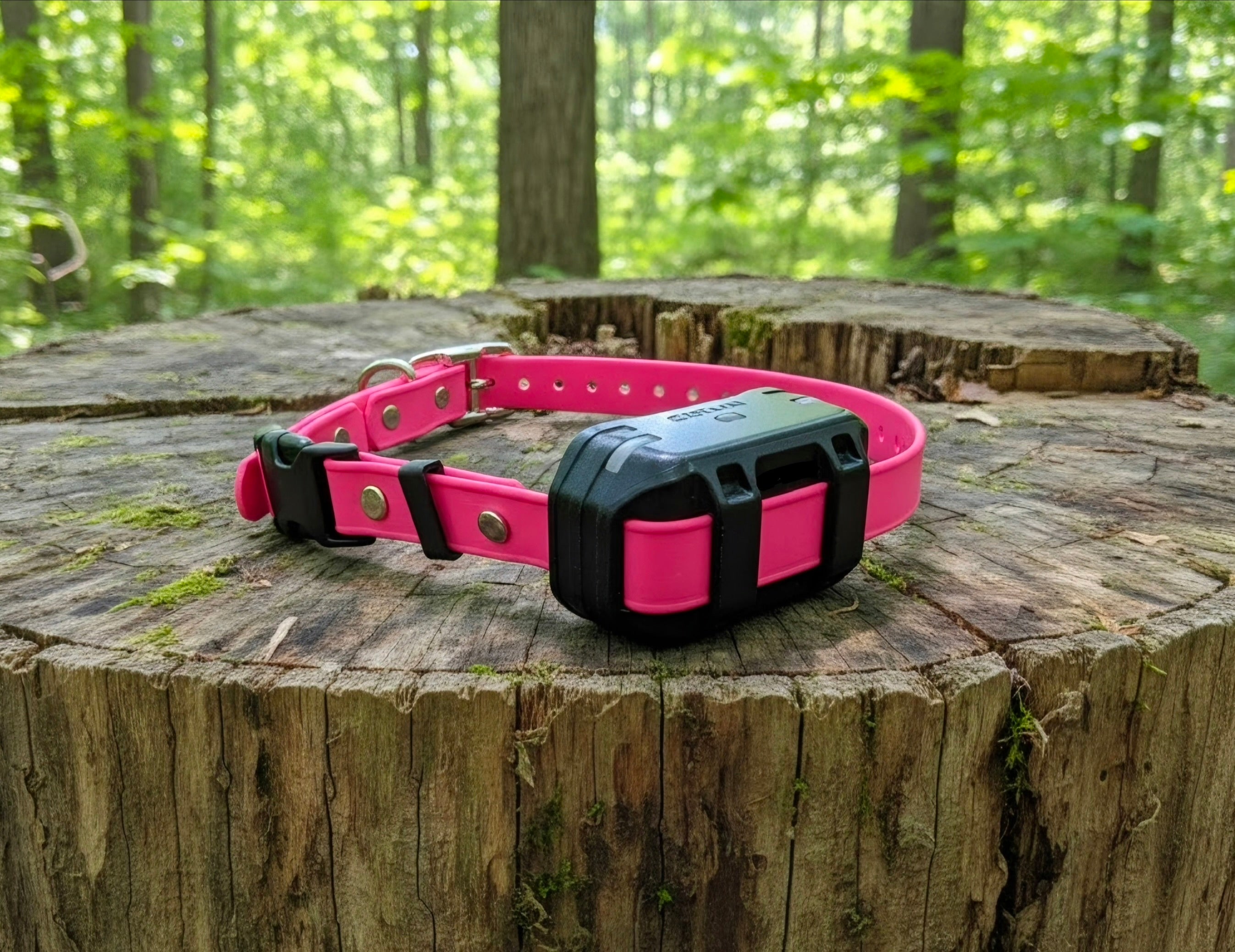Biothane 3/4” Dog E Collar Strap Multiple colors, Custom option