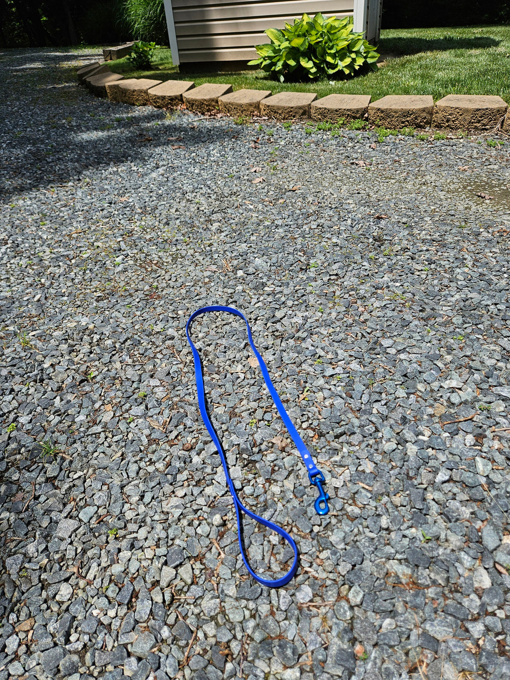 5/8” Width Standard Leash