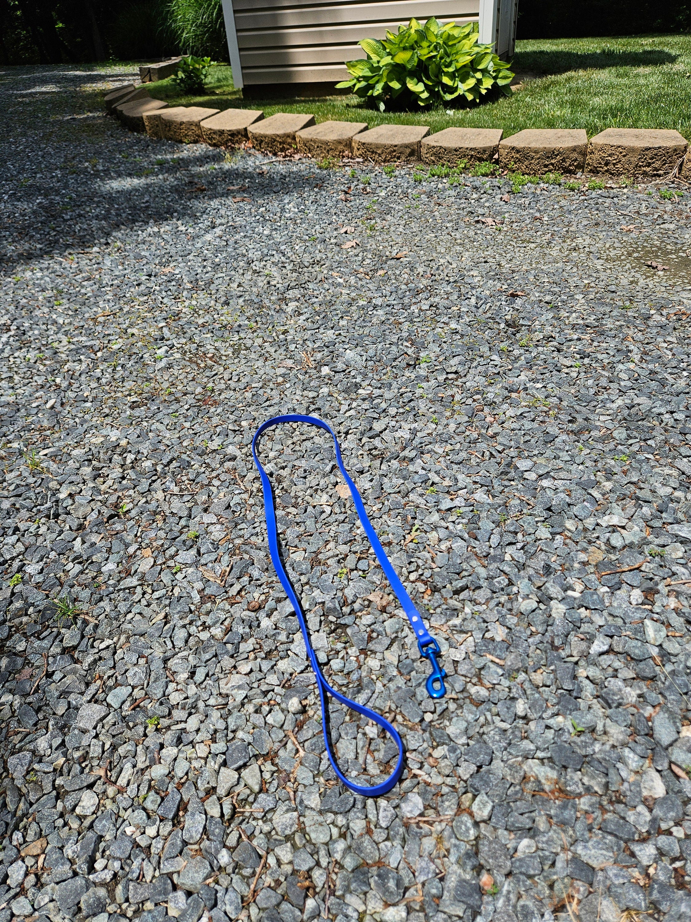 5/8” Width Standard Leash