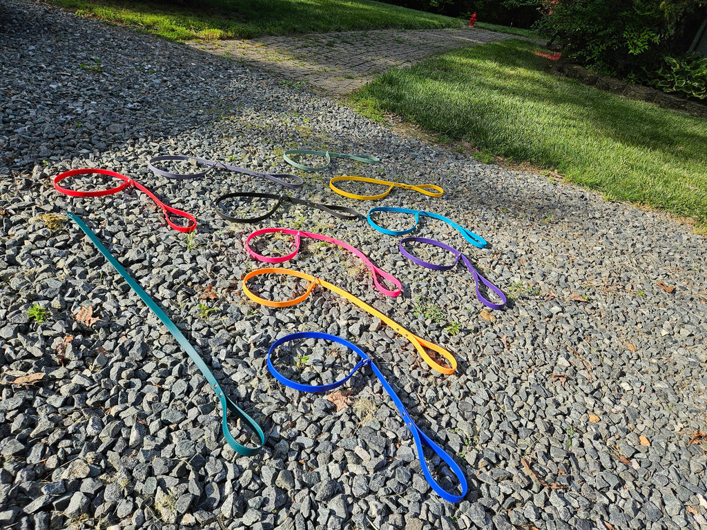 Biothane 3 Ft Slip Lead, Pre-Made, Ready to Ship